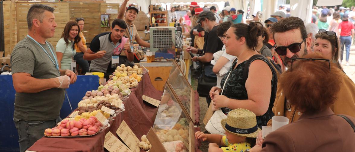 Agrandir l'image, fenêtre modale