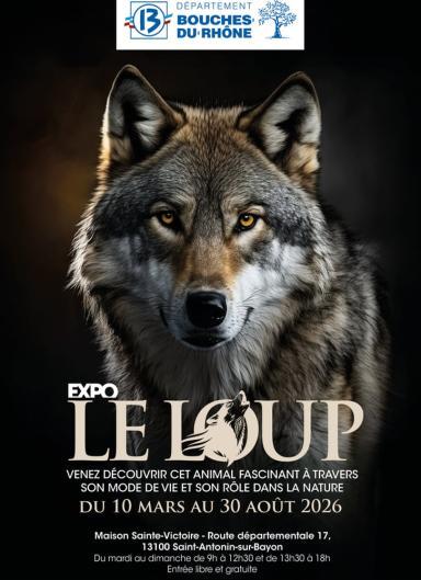 Expo le loup venez découvrir cet animal fascinant à travers son mode de vie et son rôle dans la nature du 10 mars au 30 août 2026