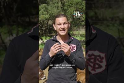 Rencontre avec Bastien Falcot qui perpétue la tradition de l’élevage de la chèvre du Rove - Lire la vidéo 2 sur 4, fenêtre modale