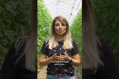 Rencontre avec Camille, maraîchère bio à Saint-Rémy-de-Provence - Lire la vidéo 1 sur 4, fenêtre modale