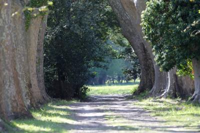 Agrandir l'image 10 sur 16, fenêtre modale