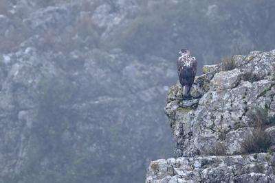 Agrandir l'image 5 sur 5, fenêtre modale