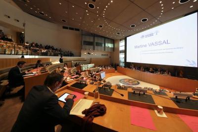 Agrandir l'image 3 sur 3, fenêtre modale