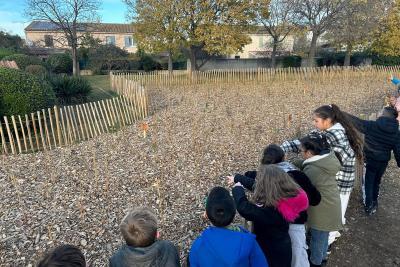 Agrandir l'image 4 sur 4, fenêtre modale