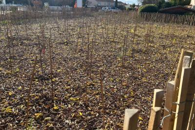 Agrandir l'image 2 sur 4, fenêtre modale