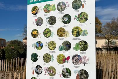 Agrandir l'image 3 sur 4, fenêtre modale