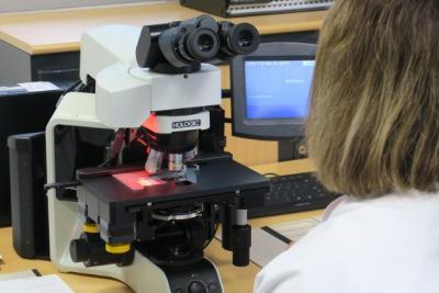 Agrandir l'image 1 sur 3, fenêtre modale