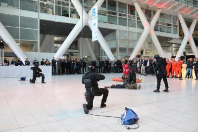 Agrandir l'image 5 sur 12, fenêtre modale