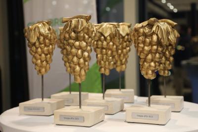 Agrandir l'image 3 sur 3, fenêtre modale