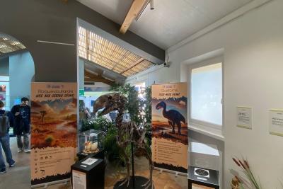 Agrandir l'image 2 sur 10, fenêtre modale