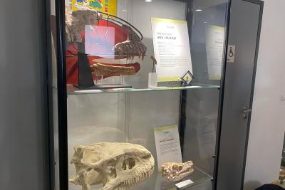 Agrandir l'image 3 sur 10, fenêtre modale