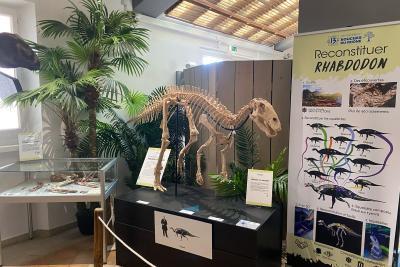 Agrandir l'image 5 sur 10, fenêtre modale