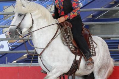 Cavalière de Camargue en démonstration au premier salon Préférence Provence - Agrandir l'image 23 sur 30, fenêtre modale