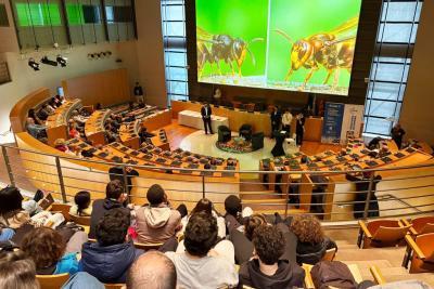 Agrandir l'image 4 sur 6, fenêtre modale