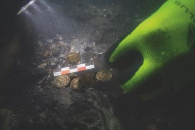 Agrandir l'image 1 sur 2, fenêtre modale