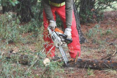 Personne équipée d’un casque rouge et jaune et de vêtements de protection, utilisant une tronçonneuse pour couper un tronc d’arbre au sol dans une zone boisée. - Agrandir l'image 4 sur 6, fenêtre modale