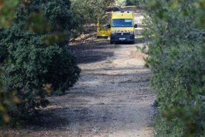 Véhicule jaune stationné sur un chemin forestier, entouré d’arbres et de végétation dense. - Agrandir l'image 5 sur 6, fenêtre modale