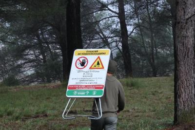 Personne portant un panneau indiquant « Chantier de débroussaillement » avec des consignes de sécurité, marchant dans une zone boisée. - Agrandir l'image 6 sur 6, fenêtre modale