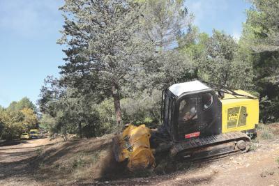 Engin forestier jaune et noir équipé d’un broyeur, travaillant sur un chemin en pente dans une zone boisée, avec des véhicules jaunes visibles en arrière-plan. - Agrandir l'image 1 sur 6, fenêtre modale