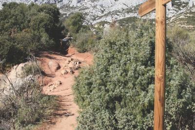 Agrandir l'image 3 sur 5, fenêtre modale