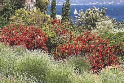 Agrandir l'image 3 sur 5, fenêtre modale