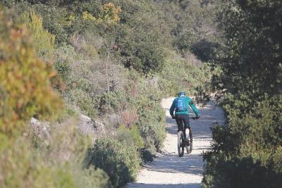 Personne à vélo sur un chemin de terre entouré de végétation dense et verdoyante, dans un paysage naturel. - Agrandir l'image 4 sur 4, fenêtre modale
