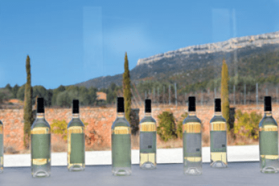 des bouteilles de vins blancs les unes contre les autres - Agrandir l'image 4 sur 9, fenêtre modale