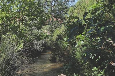 Agrandir l'image 4 sur 6, fenêtre modale