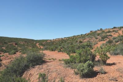 Agrandir l'image 6 sur 6, fenêtre modale