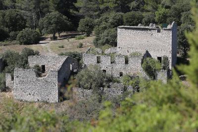 Agrandir l'image 11 sur 11, fenêtre modale