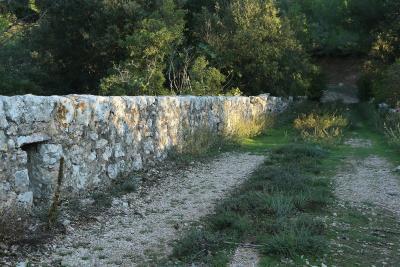 Agrandir l'image 8 sur 11, fenêtre modale