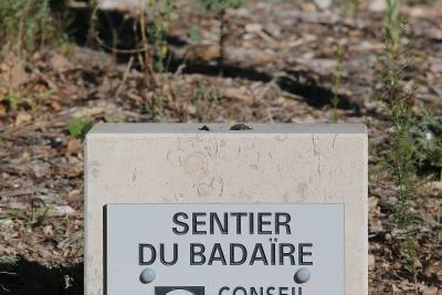 Agrandir l'image 3 sur 11, fenêtre modale