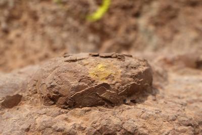 Agrandir l'image 2 sur 15, fenêtre modale