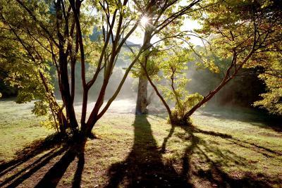 Agrandir l'image 5 sur 11, fenêtre modale