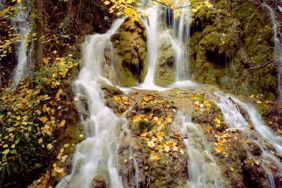 Agrandir l'image 4 sur 11, fenêtre modale