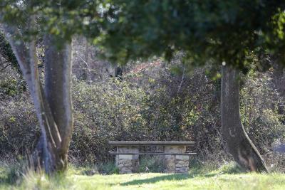 Agrandir l'image 4 sur 5, fenêtre modale