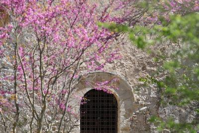 Agrandir l'image 8 sur 11, fenêtre modale