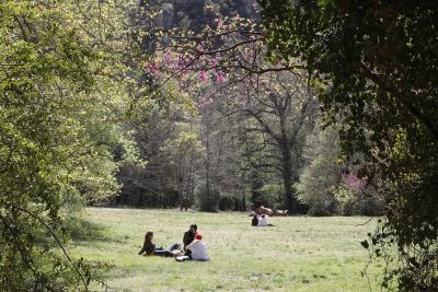 Agrandir l'image 6 sur 11, fenêtre modale