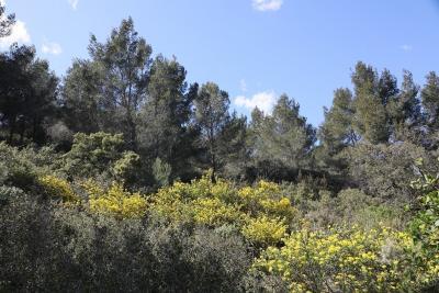 Agrandir l'image 2 sur 5, fenêtre modale