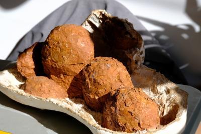 Agrandir l'image 6 sur 15, fenêtre modale