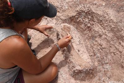 Agrandir l'image 7 sur 15, fenêtre modale