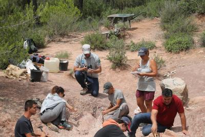 Agrandir l'image 10 sur 15, fenêtre modale