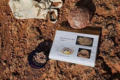 Agrandir l'image 12 sur 15, fenêtre modale