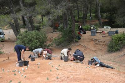 Agrandir l'image 13 sur 15, fenêtre modale