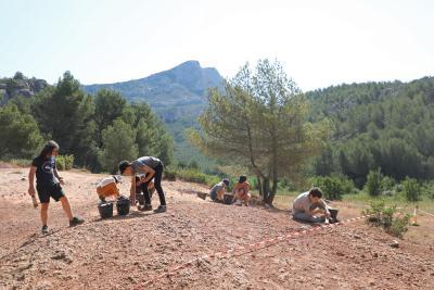 Agrandir l'image 15 sur 15, fenêtre modale