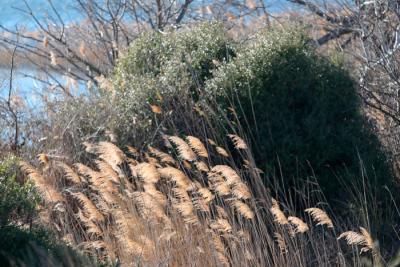 Agrandir l'image 6 sur 7, fenêtre modale