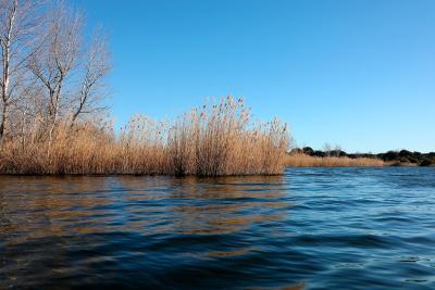 Agrandir l'image 7 sur 7, fenêtre modale
