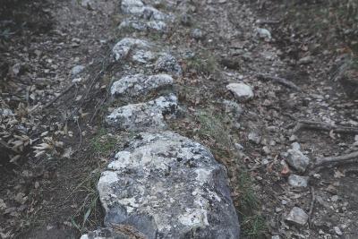 chemin de terre en forêt, avec des pierres apposées - Agrandir l'image 5 sur 8, fenêtre modale
