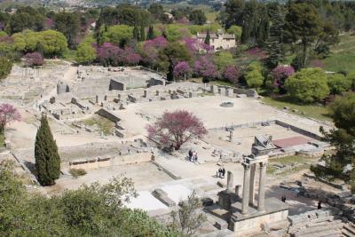 vue aérienne du site archéologique - Agrandir l'image 5 sur 5, fenêtre modale