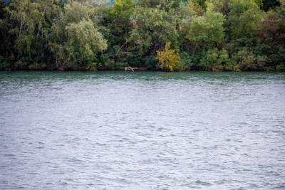 Agrandir l'image 5 sur 6, fenêtre modale